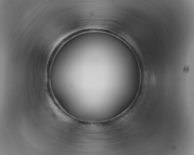 X0000112960980200909031017