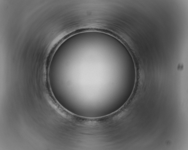 X0000112960982200909031017