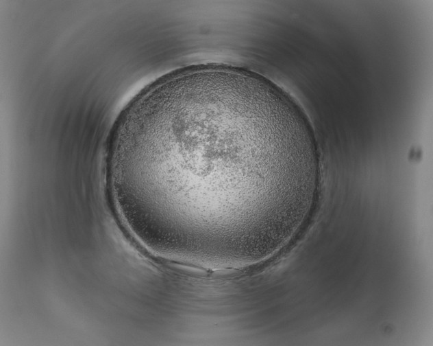 X0000112960983200909031017