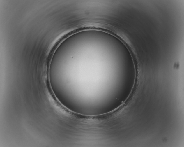 X0000112960984200909031017