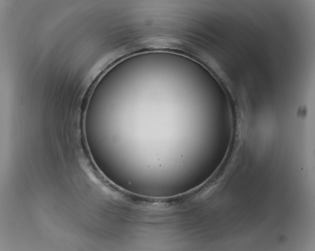 X0000112960986200909031017