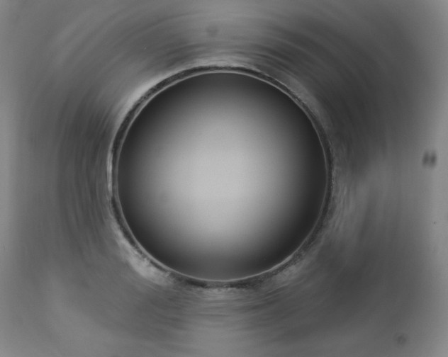 X0000112960988200909031017