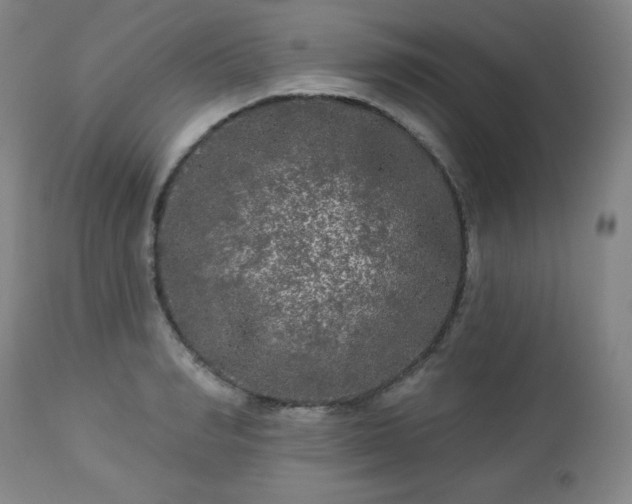 X0000112960990200909031017