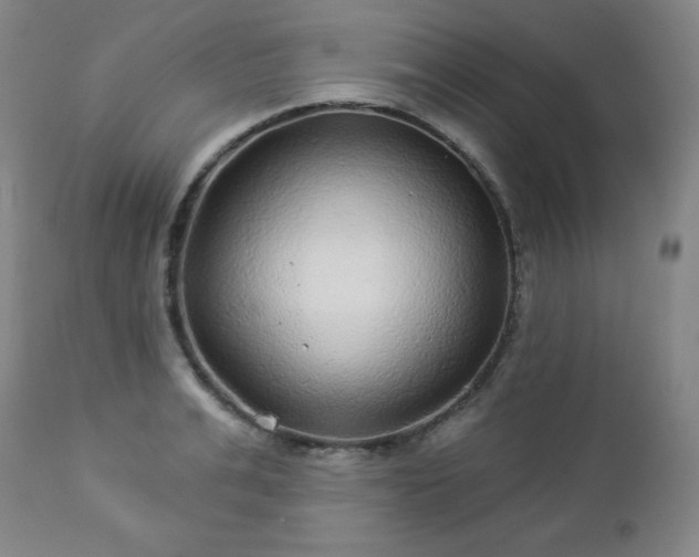 X0000112960991200909031017