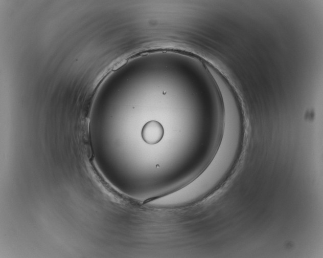 X0000112960993200909031017