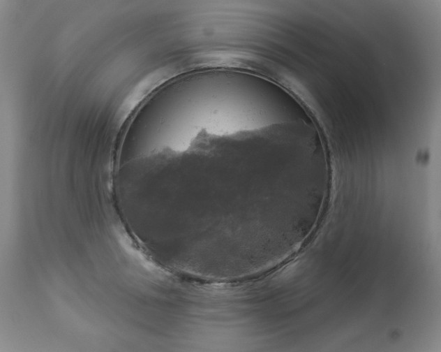 X0000112960994200909031017