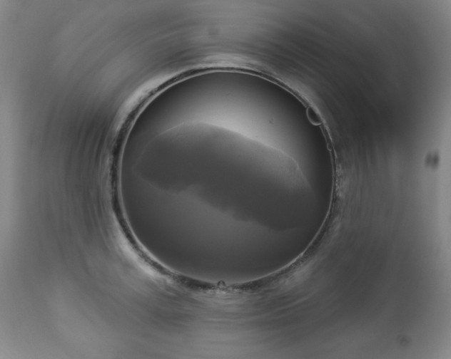 X0000112960995200909031017