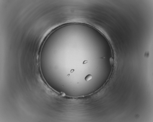 X0000112960996200909031017