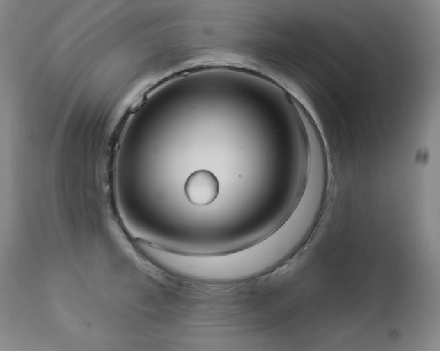 X0000112960997200909031017