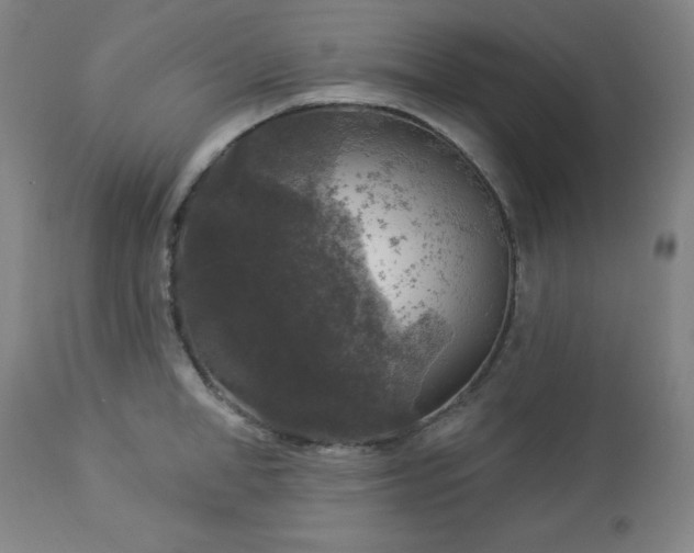 X0000112960998200909031017