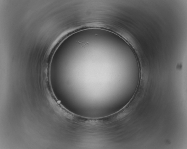 X0000112961000200909031017