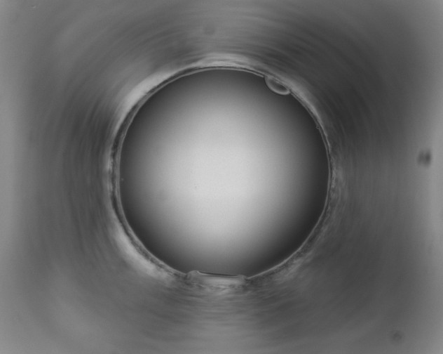 X0000112961003200909031017