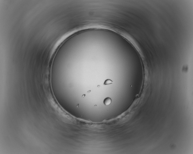 X0000112961004200909031017