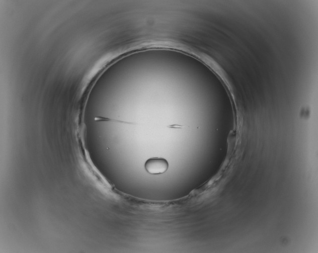 X0000112961005200909031017