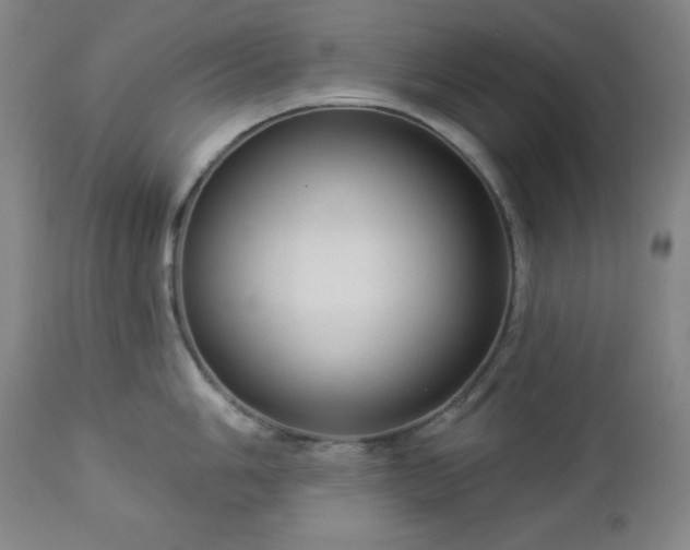 X0000112961006200909031017