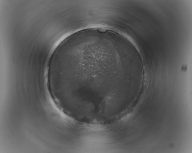 X0000112961007200909031017