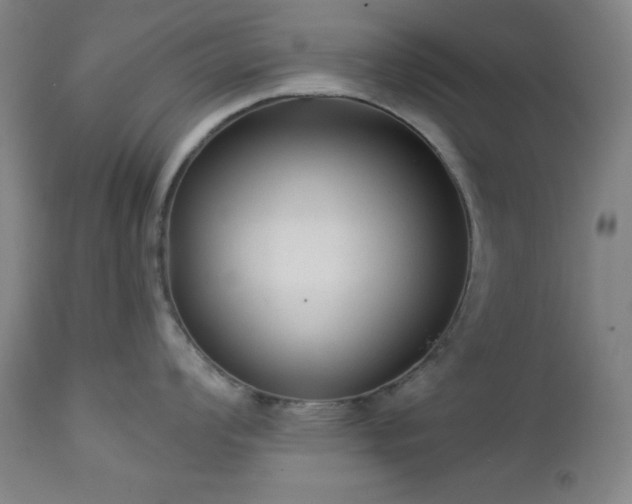 X0000112961008200909031017