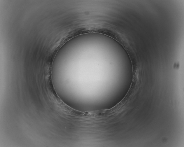 X0000112961012200909031016