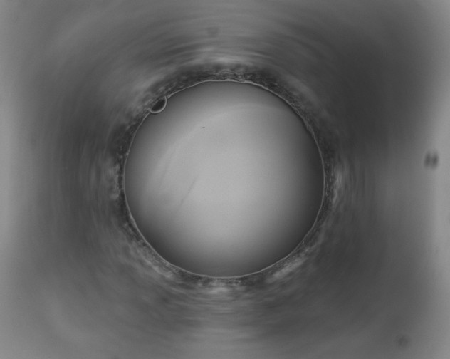 X0000112961013200909031016