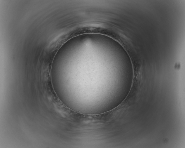 X0000112961014200909031016