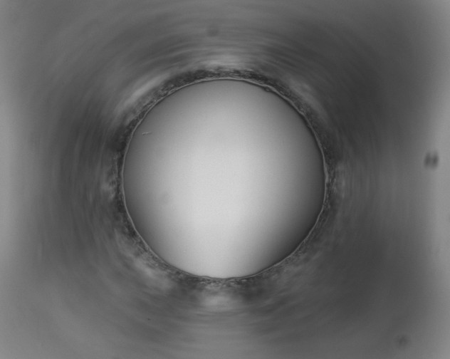 X0000112961015200909031016