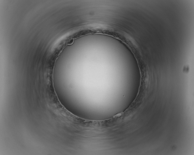 X0000112961016200909031016