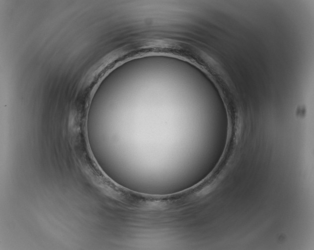 X0000112961017200909031016