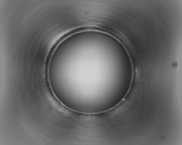 X0000112961020200909031016