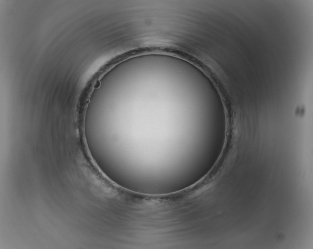 X0000112961022200909031016