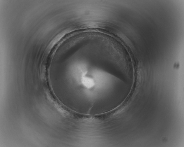 X0000112961023200909031016