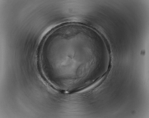 X0000112961024200909031016