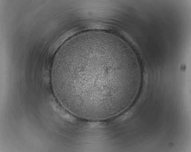 X0000112961025200909031016