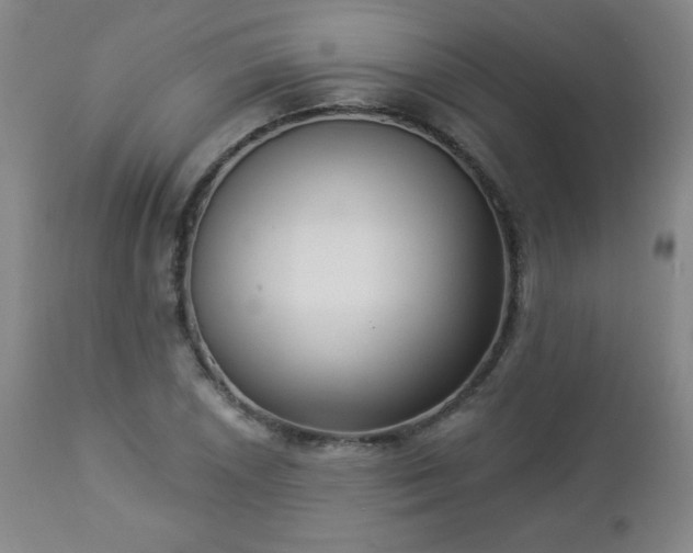 X0000112961026200909031017