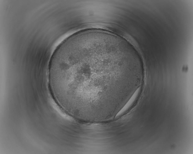 X0000112961028200909031017