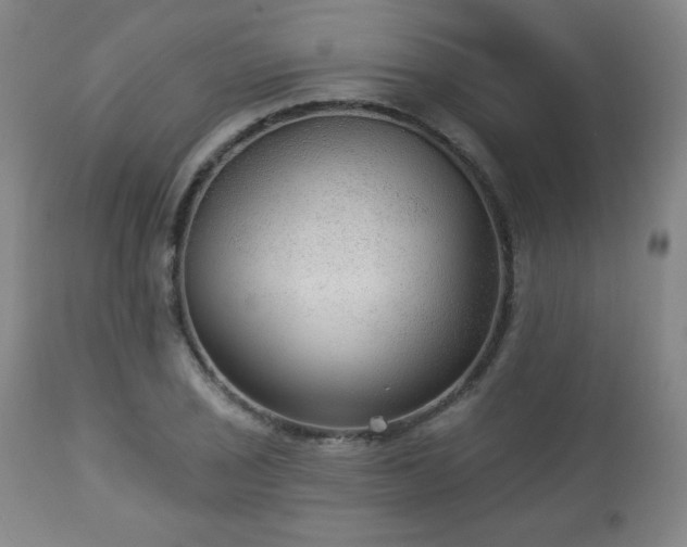 X0000112961029200909031017