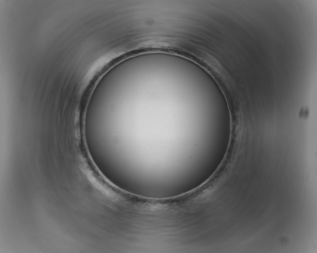 X0000112961030200909031017