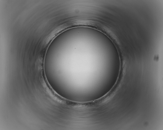 X0000112961033200909031017