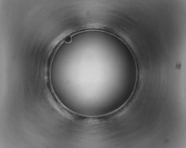 X0000112961034200909031017