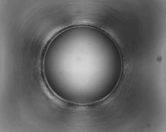 X0000112961038200909031017