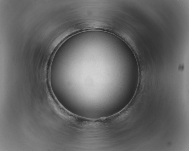 X0000112961039200909031017