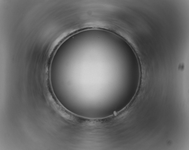 X0000112961040200909031017