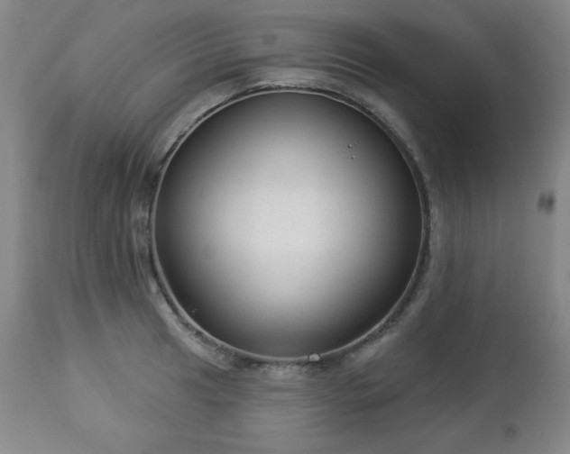 X0000112961041200909031017