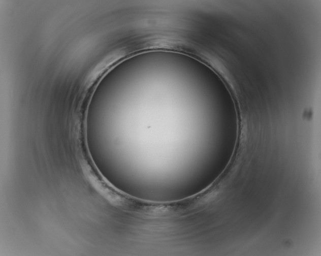 X0000112961042200909031017