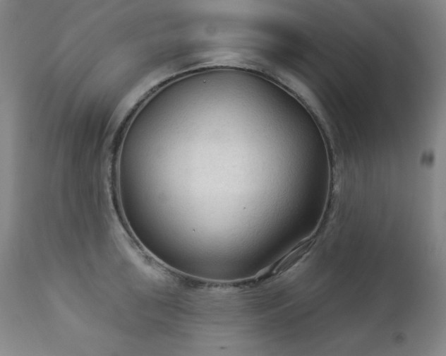 X0000112961043200909031017