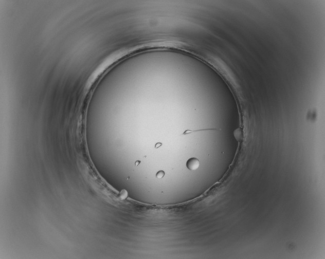 X0000112961044200909031017