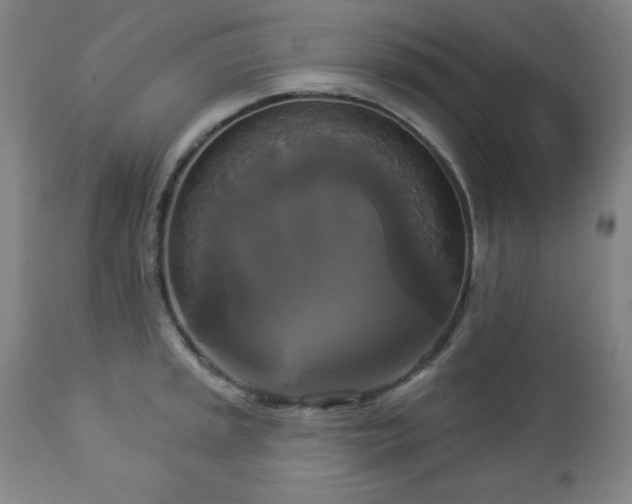 X0000112961045200909031017