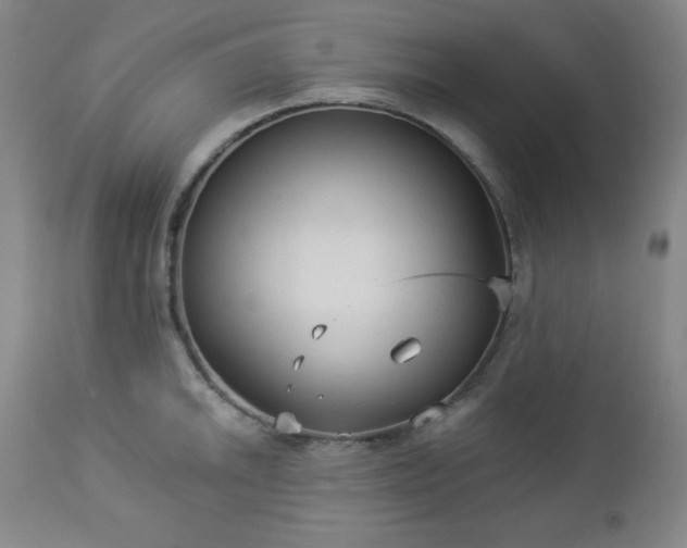 X0000112961046200909031017