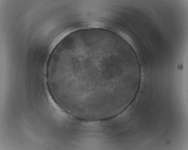 X0000112961047200909031017