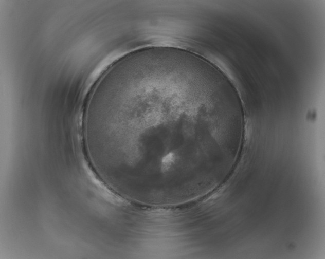 X0000112961048200909031017