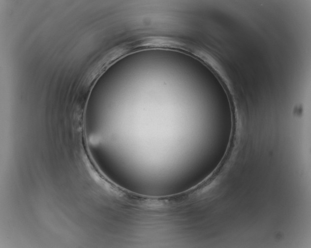 X0000112961049200909031017